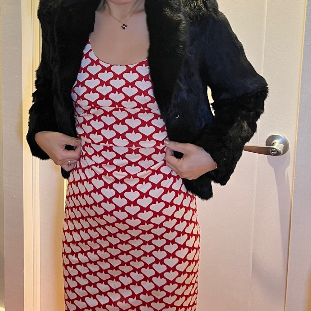 Diane Von Furstenberg silk dress (heart)